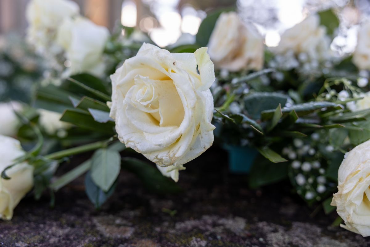 How to Arrange a Meaningful Memorial Without a Formal Service