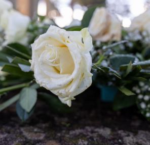 How to Arrange a Meaningful Memorial Without a Formal Service